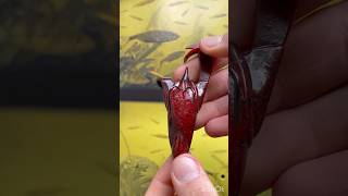 Fishing tips #fishing #спінінг #handmadelure #carp #bassfishing #tutorial #fish #fishinglife #diy