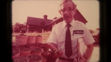 Birds Eye Frozen Food I Remember Clarence Birdseye