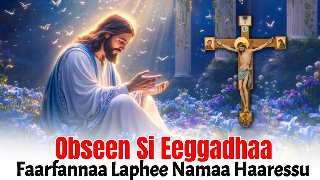 Obseen Si eeggadhaa|Faarfannaa laphee Namaa haaressu #sambe_tube