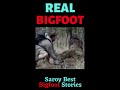 Bigfoot Loses Control!!! Did you enjoy this clip??? 😂🤣 #Bigfoots testimony