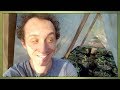 Plant-Based Oxygen Experiment Quiz