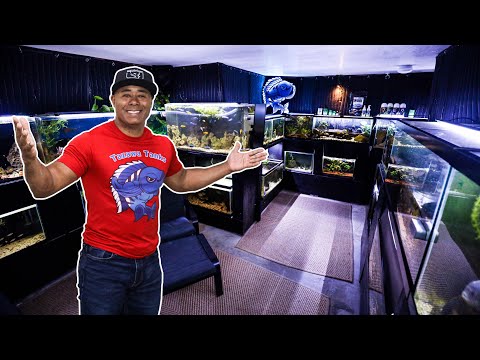 You Have Got To See THIS FISH ROOM! Full Tour