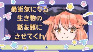【 雑談 】 最近気になってる生き物とか、近況報告とか 【 #個人Vtuber #生き物  #飲酒雑談   】のサムネイル