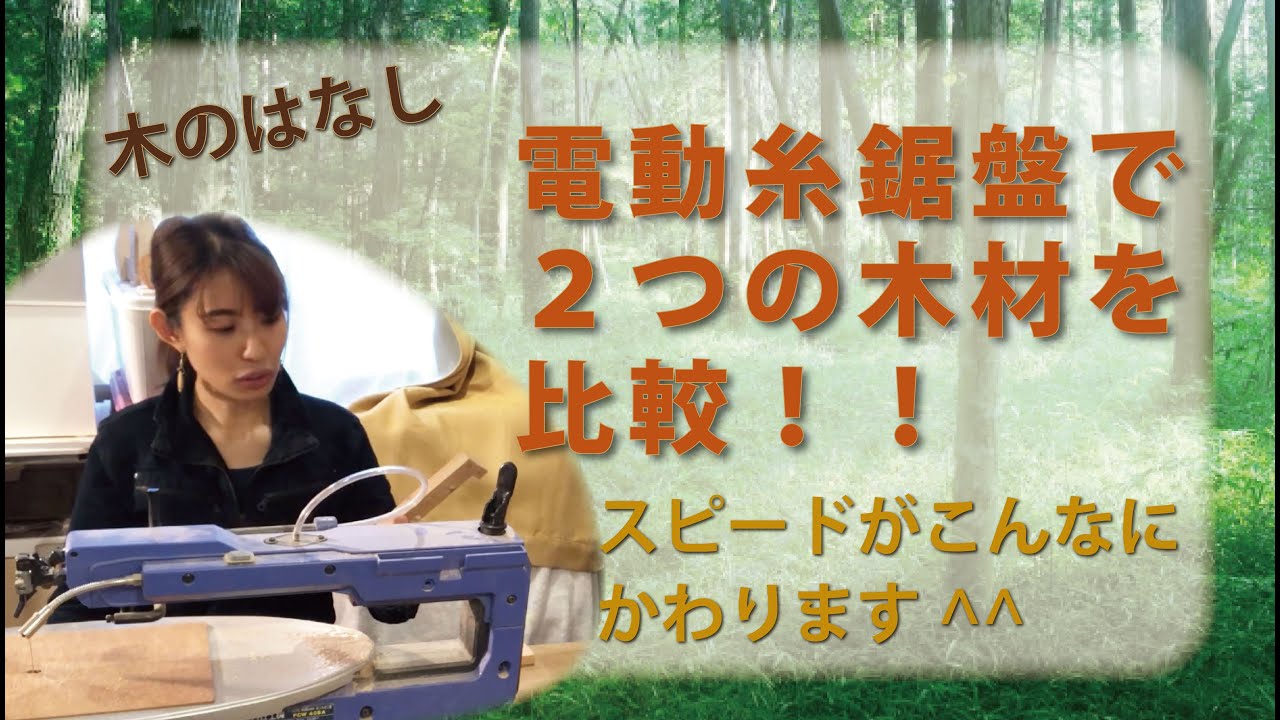 【木のこと】電動糸鋸盤を使って、杉とナラの硬さを比較！～比較シリーズ第一弾♪
