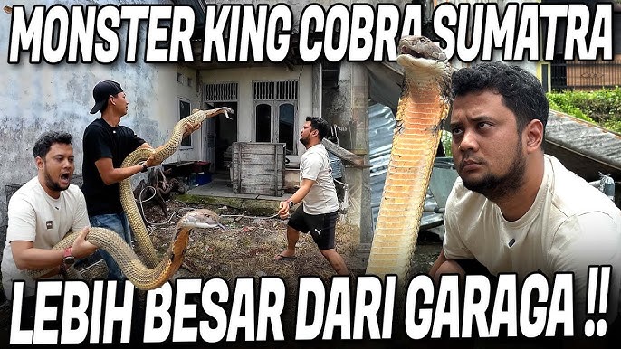 Ular navbatma-navbat semiz odamlarni sikishadi