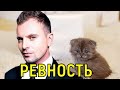 Никита Мaлинин: Мнe не хвaтaeт отцa, и я нeнaвижy "Котёнка"