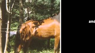 Come Running When I Call