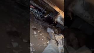 Commercial HVAC Crawlspace Demo and Re-Run Plus Insulation Wrap. #bluecollar  #hvac #crawlspace