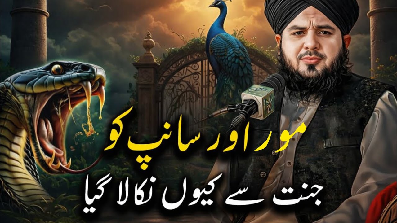Why Were the Peacock and Snake Expelled from Paradise? | Ajmal Raza Qadri Bayan