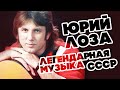 ЛЕГЕНДАРНАЯ МУЗЫКА СССР - ЮРИЙ ЛОЗА - ЛУЧШИЕ ПЕСНИ