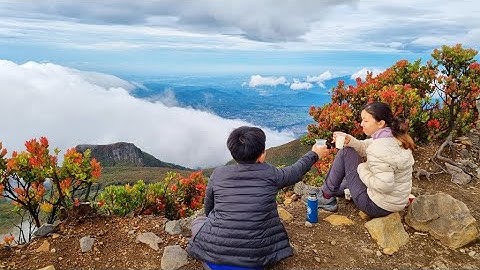 Pendakian Gunung Gede Tektok Via Putri || Dipandu oleh @ Meidian Prana dari Weekend Traveller ID