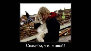 приколы, видео приколы, приколы 2019, ютуб приколы приколы, видео приколы, приколы 2019, ютуб приколы
