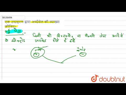 वीडियो: एक अविभाजित सेल क्या है?