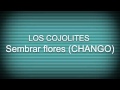 "Sembrar Flores" Video de Fan