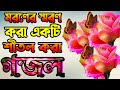       very heart touching gojol islamic bangla gojolislamic songgazal