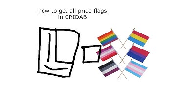 How to get all flags in CRIDAB (Remade)