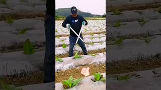 Trending farming Tool😱🫢#new #ytshorts #shortvideo #farmingtools  #shorts #shortsfeed #newtechnology