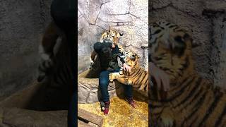 2 Tane Kaplanın Saldırısına Uğradım 😲 Resimi