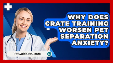 Why Does Crate Training Worsen Pet Separation Anxiety? - PetGuide360.com