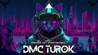 Ebru Gündeş - Çingenem (Dmc Turok Remix)