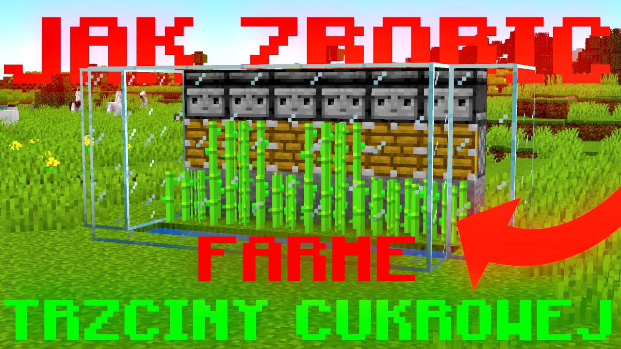 Jak Zrobić Farme Dyń W Minecraft Jak zrobić automatyczną farmę trzciny w Minecraft Poradnik - YouTube