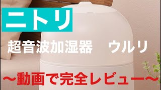 ニトリ商品レビュー　超音波加湿器ウルリ