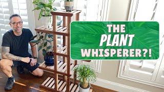 Get Your Green On! Sleek And Modern Plant Stand  Free Plans Available