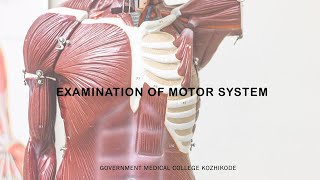 Physiology Online Practical Tutorial I Motor System - Calicut Medical College