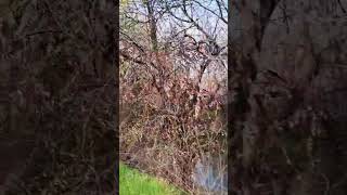 Jordan river trail