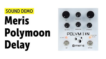 Meris Polymoon Delay - Sound Demo (no talking)