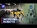 Inside Australia's biggest robotics testing lab | 9 News Australia
