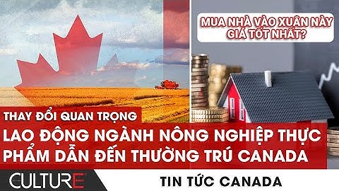 Diện tích ô cầu thang bao nhiêu là hợp lý năm 2024