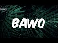 Kabza De Small - (Lyrics) Bawo (feat. Nobuhle & Yallunder)