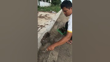 Clean Abandon Culvert On Street Road #remove #satisfying #unclog #shorts