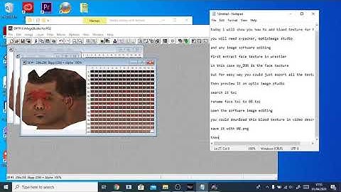 Tutorial How to Add Blood Texture in HCTP