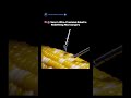 Sony’s Ultra-Precision Robot Is Redefining Microsurgery #robot #rc #sony