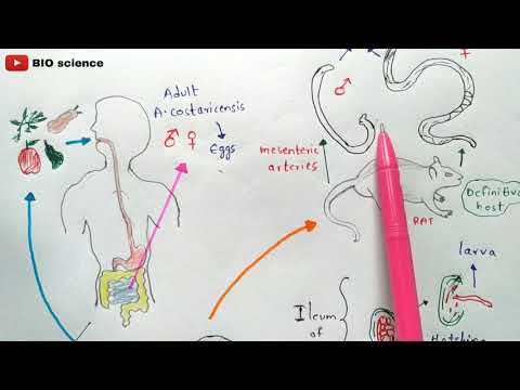 Video: 3 Möglichkeiten, Angiostrongyliasis zu verhindern