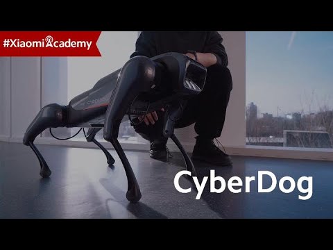 Explore the Possibilities with Xiaomi CyberDog | Xiaomi Academy