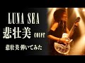 【LUNA SEA】悲壮美/SUGIZOパート【弾いてみた】