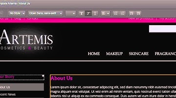 HOW TO: Use InContext Editing on Business Catalyst
