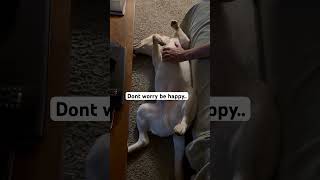 Our life in the mountains #subscribe #shortvideo #dontworry #happy