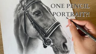 DRAWING A REALISTIC HORSE WITH ONE PENCIL?!