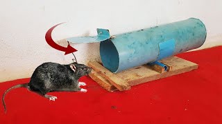 How To Make Rat/Mouse Trap From PVC Pipe