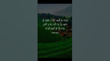صوت يريح القلب 💙 القارئ عبدالرحمن السديس