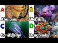 Toddler Learning - Learn Ocean Animals | Educational Videos for Kids | Learning Videos for Toddlers