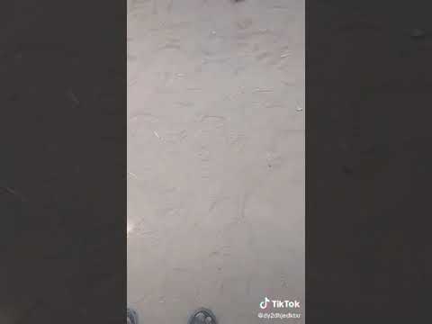 المبدع أحمد صابر في أغنية عقدة ريد و أبت تنحل