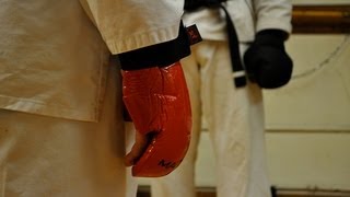 Hard and soft (martial arts) screenshot 2