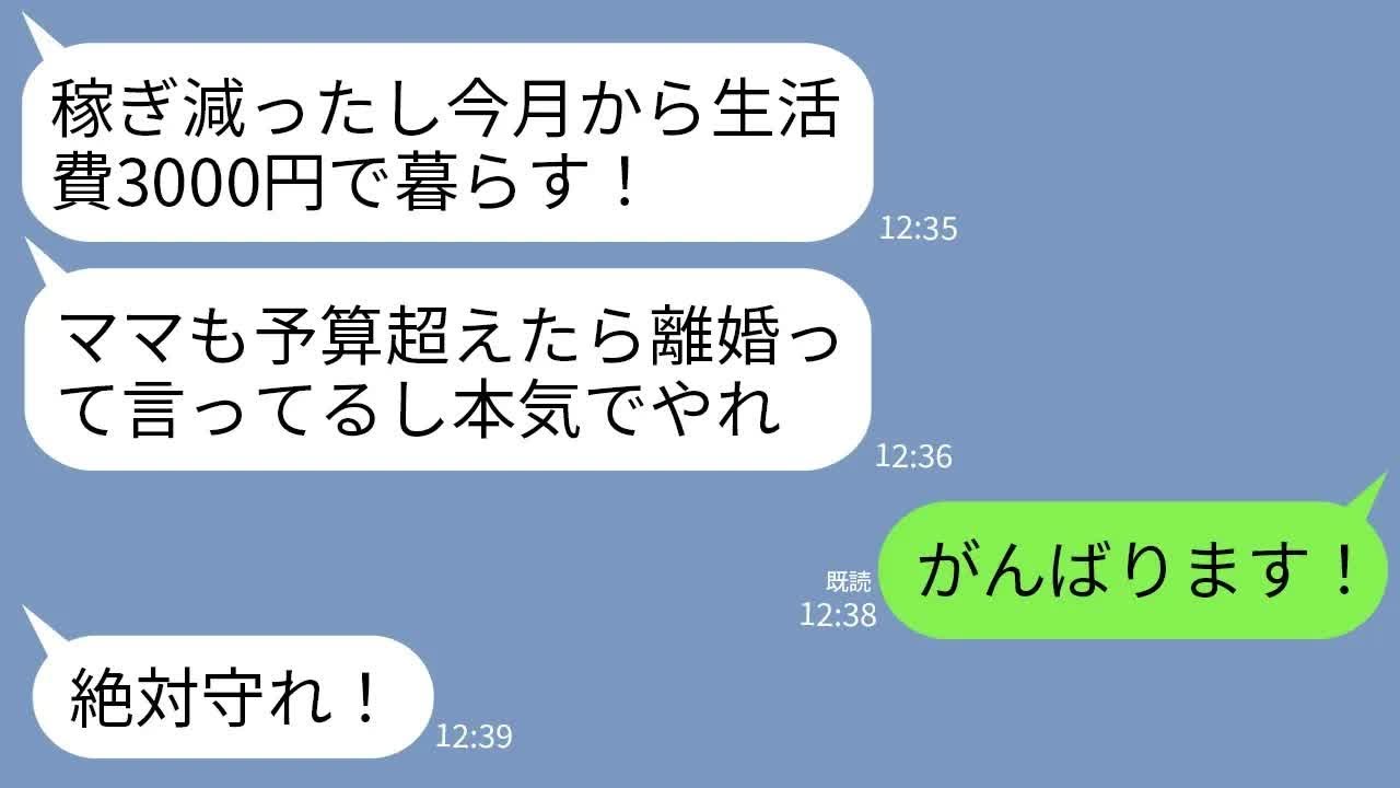 【LINE】物価高騰の現実を見ない夫「今日から生活費は月3000円だぞ！」義母「予算超えたら離婚でw」私「がんばります！」→毎日地獄のもやし炒め生活にしたら夫と義母が激ヤセに…w