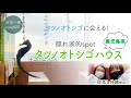 【鹿児島県②】おすすめ観光スポット「タツノオトシゴハウス」＆姉妹で砂蒸し体験【日本一周# 20 】kagoshima | 砂楽 | japantrip