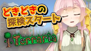 ひなの羽衣 ひなのうい Vtuber バーチャルyoutuber ひなの羽衣 ひなのうい Vtuber バーチャルyoutuber